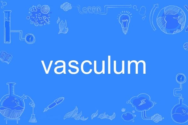 vasculum