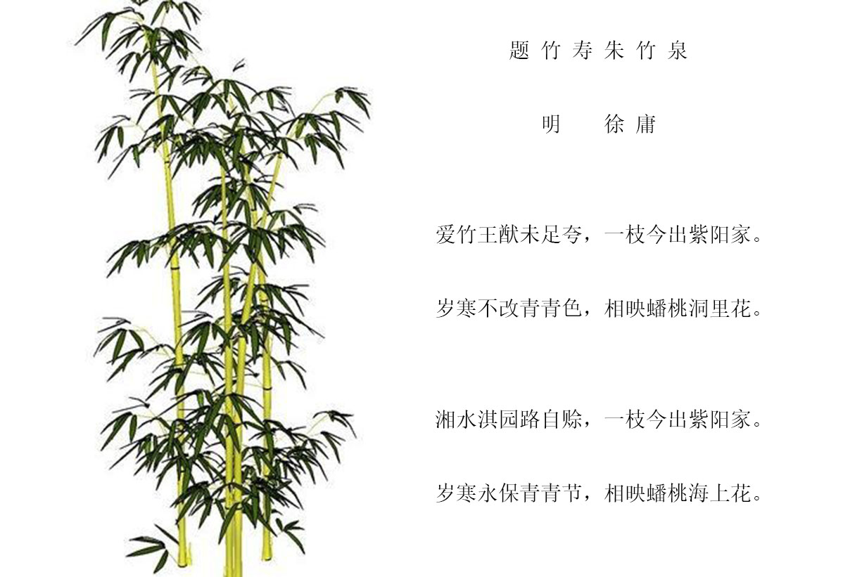 題竹壽朱竹泉