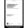 Combustion and Incineration Processes