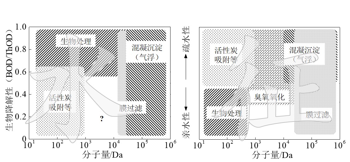 圖4 污水組分特徵與處理工藝選擇