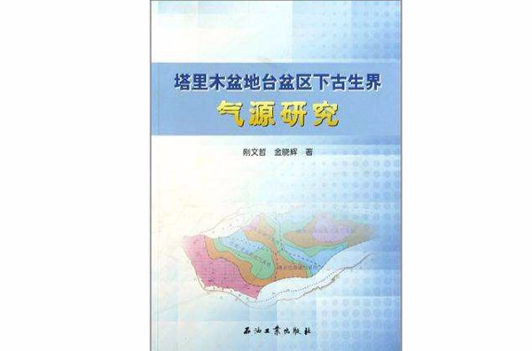 塔里木盆地台盆區下古生界氣源研究