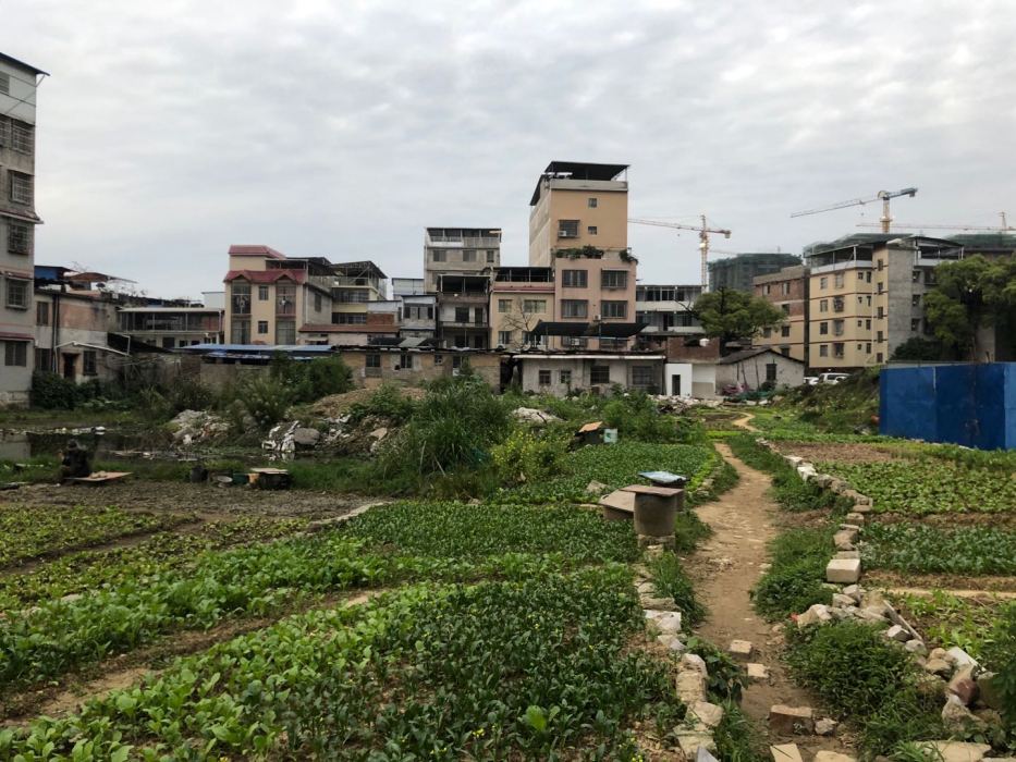 和平村(桂林市七星區穿山街道辦和平村委會)