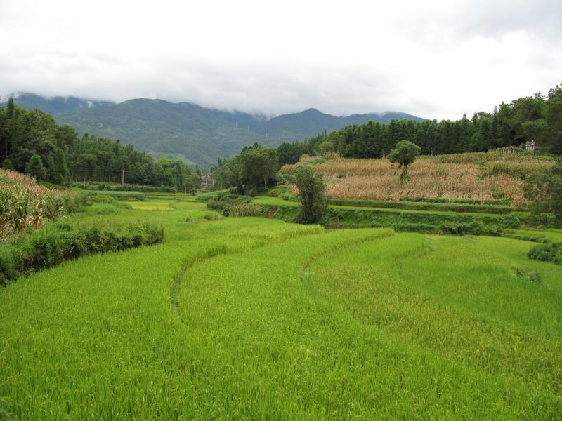 滾子沖自然村