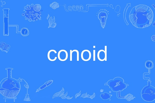 conoid