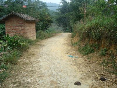 磨山小寨自然村-交通道路