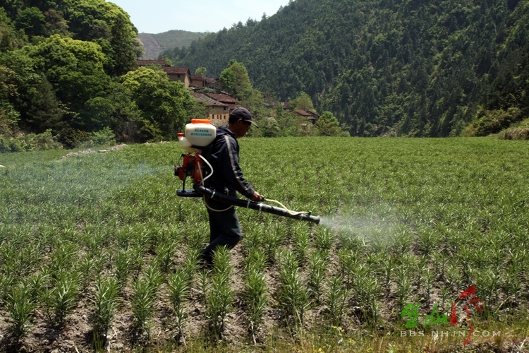 沙川省級現代農業綜合區