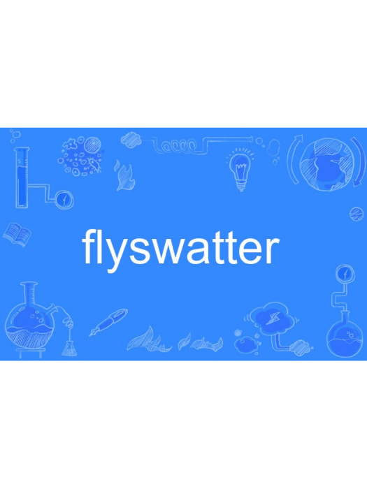 Flyswatter