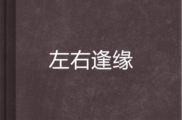 左右逢緣(小說名)