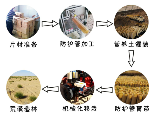 設施防護管育苗與機械化移栽一體化荒漠造林技術