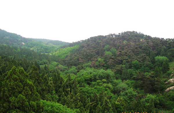 陶山正面