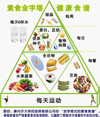 素食金字塔