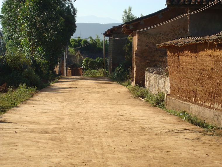 水泥路面