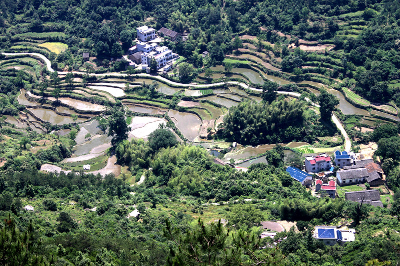 茶園村(湖北省黃岡市羅田縣匡河鎮茶園村)