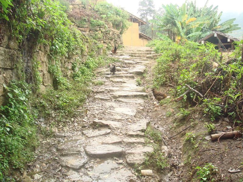 黑水井自然村村內道路