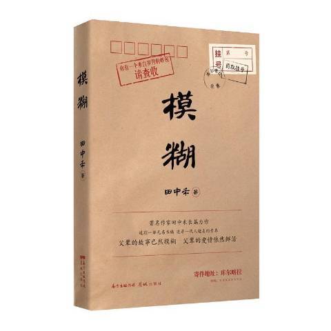 模糊(2020年花城出版社出版的圖書)