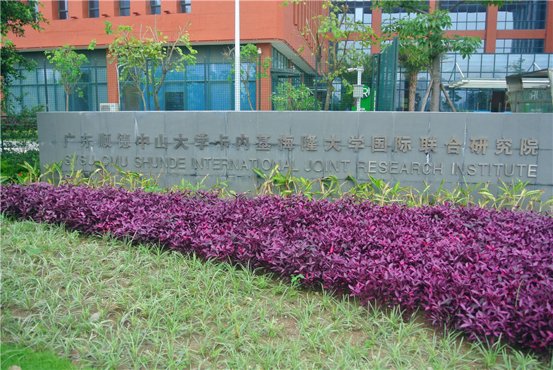 中山大學順德研究院