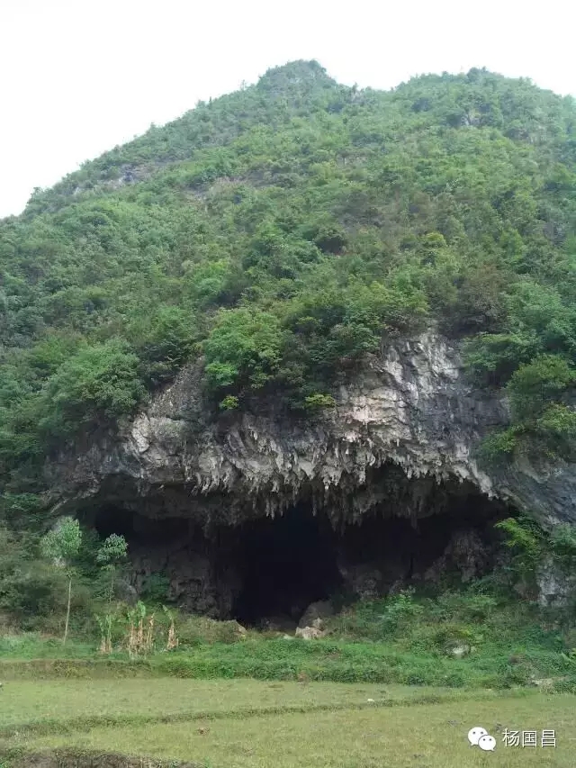 漁塘村(貴州六盤水六枝特區銀壺街道漁塘村)