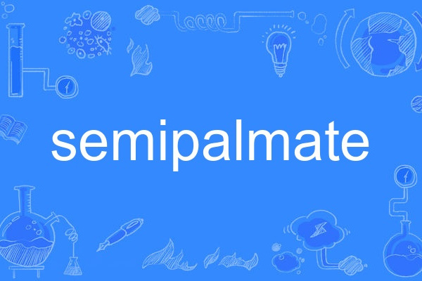 semipalmate