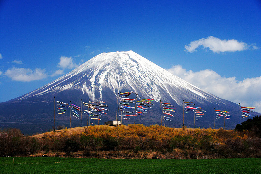 朝霧高原