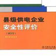 縣級供電企業安全性評價查評依據