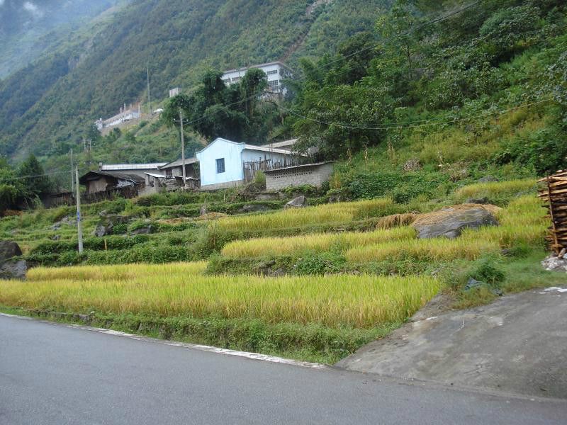 碧羅村