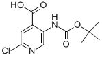 5-BOC-氨基-2-氯吡啶-4-甲酸
