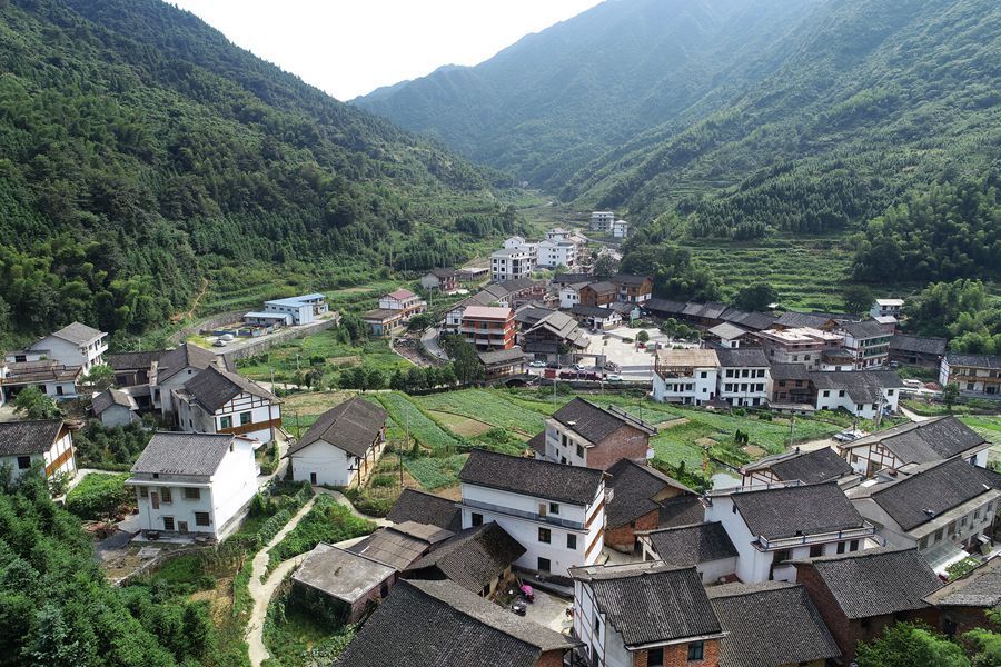 清水村(廣西壯族自治區桂林市興安縣嚴關鎮下轄村)