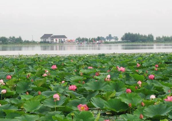 黑山蓮花湖