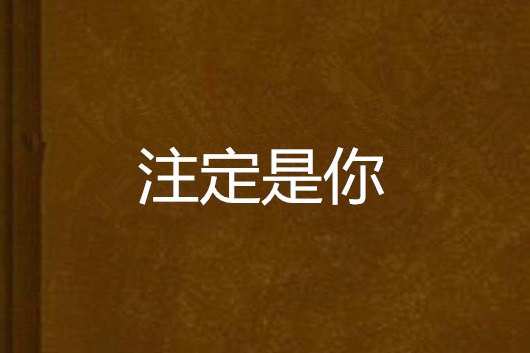 注定是你(小說)