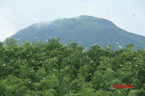 華陽大佛山旅遊風景區