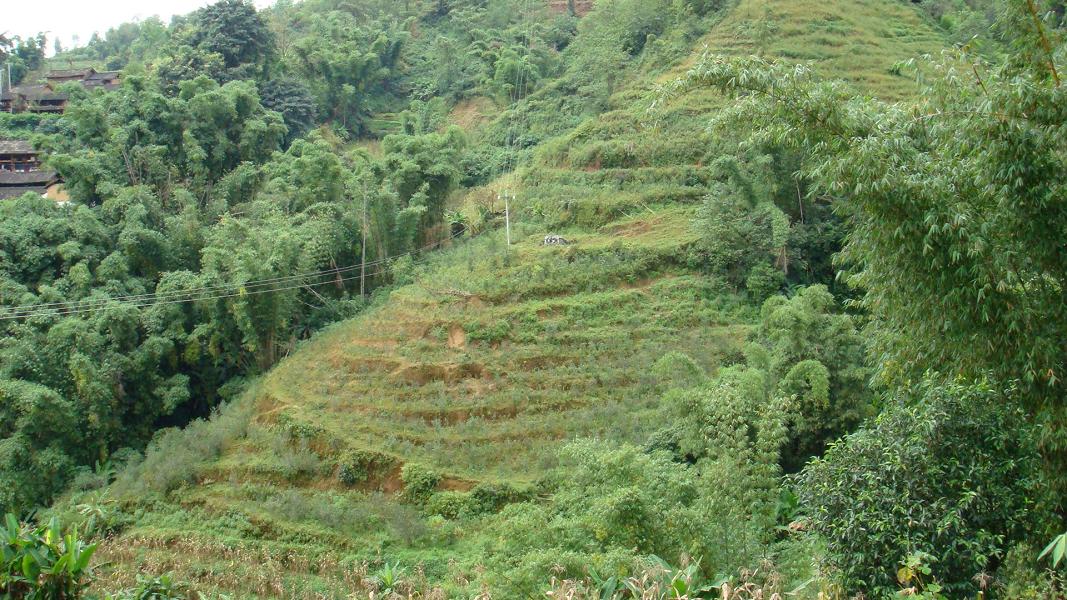 岩子頭自然村