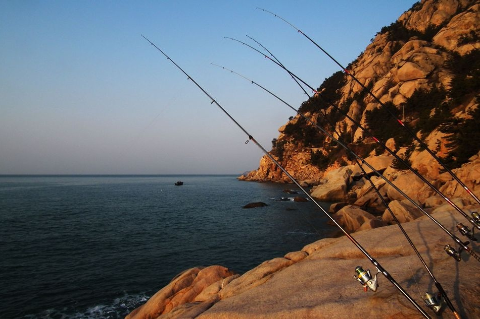 中國青島釣魚節