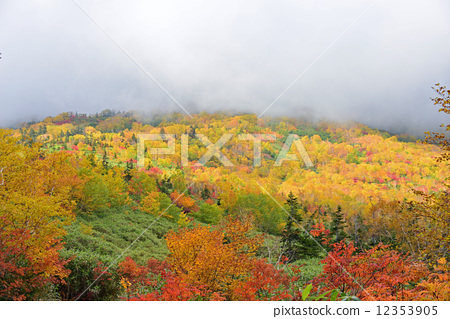 花秋三自然村