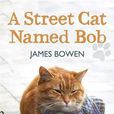 A Street Cat Named Bob