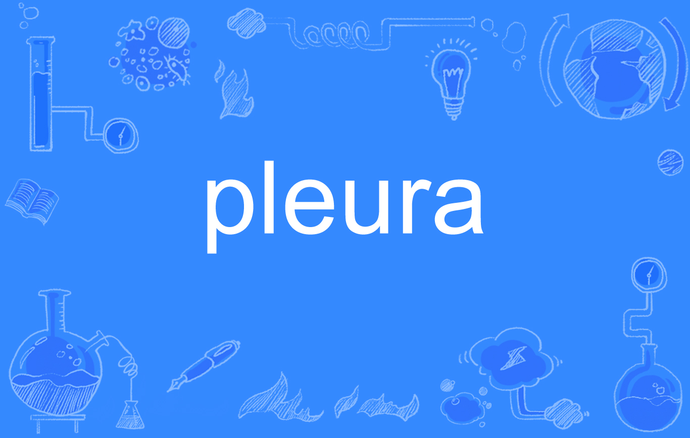 pleura