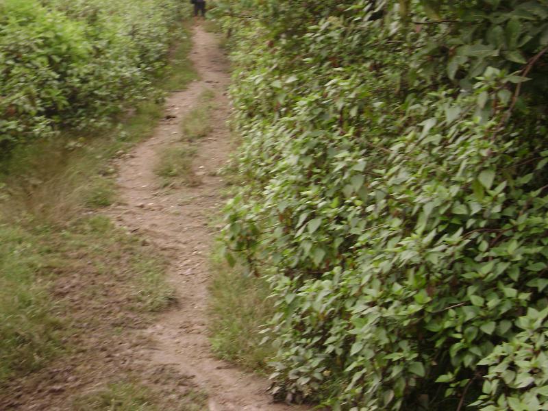 邦谷村進村道路