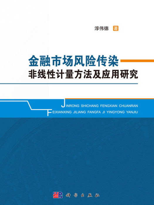 金融市場風險傳染非線性計量方法及套用研究