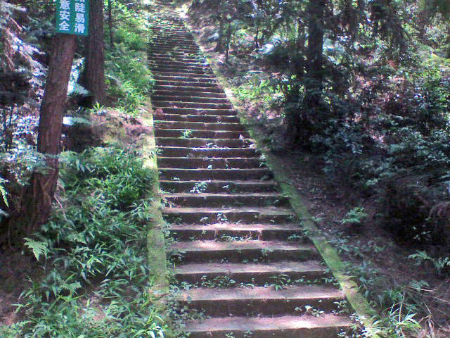 四川榮縣高石梯森林公園