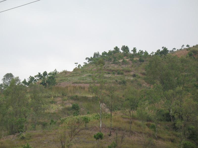 小高田村