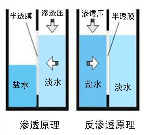 凝膠滲透色層法