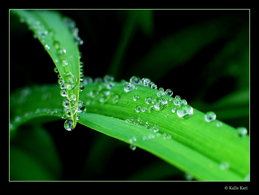 癸水，雨露之水。