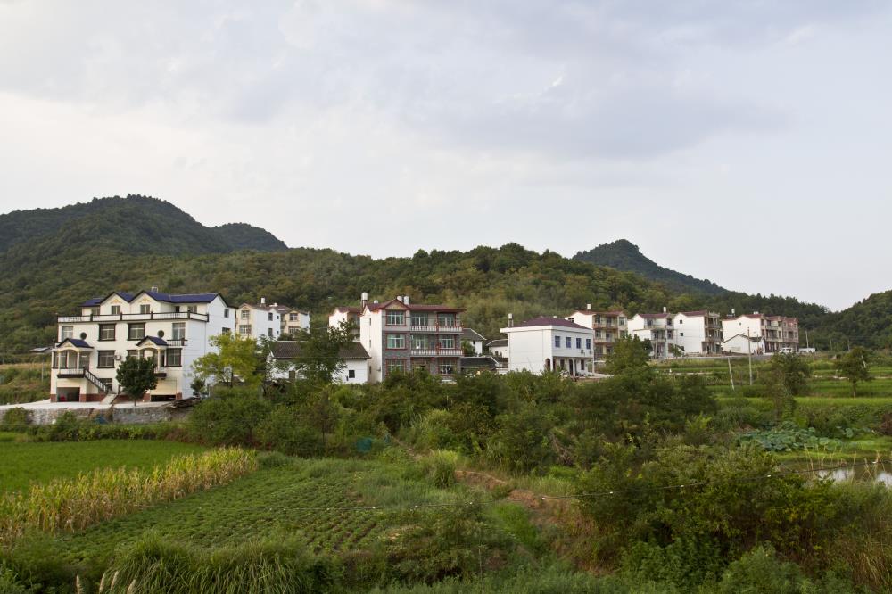 東山村(吉林圖們市涼水鎮下轄村)