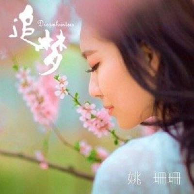 追夢(姚珊珊演唱歌曲)