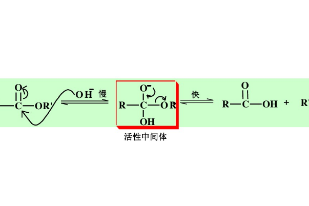 雙分子鹼催化醯氧斷裂