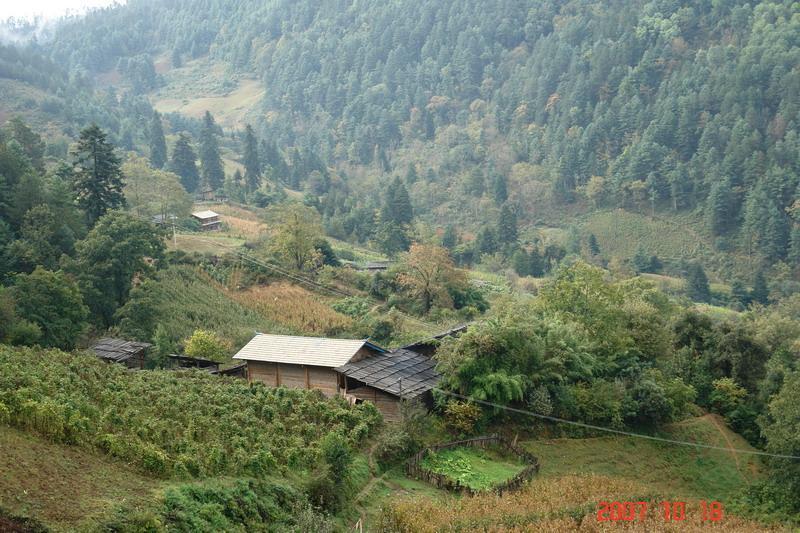 施決自然村