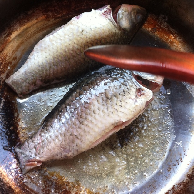 家常鯽魚湯