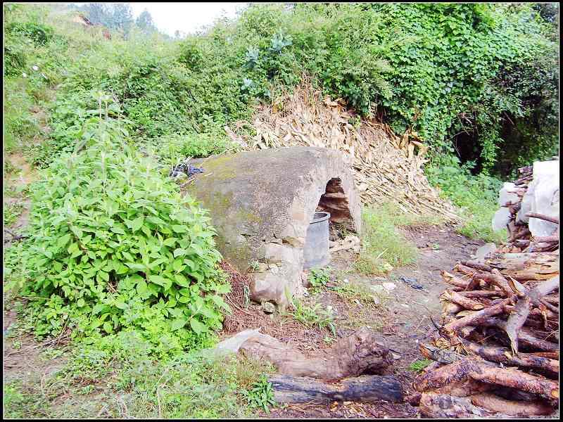 陽照村(雲南省大理州彌渡縣密祉鄉下轄村)