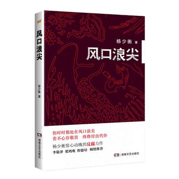 風口浪尖(楊少衡所著反腐小說)