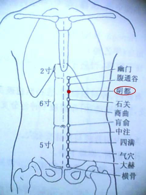 陰都穴