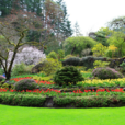 布查特花園